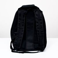 Рюкзак для переноски кошек и собак "Сакура", с окном, 32 х 25 х 42 см Рюкзак для переноски кошек и собак "Сакура", с окном, 32 х 25 х 42 см