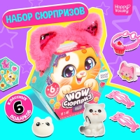 Набор &laquo;WOW-сюрприз: Котик&raquo;, МИКС