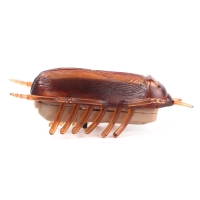 Интерактивная игрушка для кошек &laquo;Таракан&raquo;