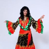 Карнавальный костюм женский &laquo;Цыганка&raquo;: блузка, юбка, косынка, парик, р-р 44-46, рост 170, цвет красно-зелёный