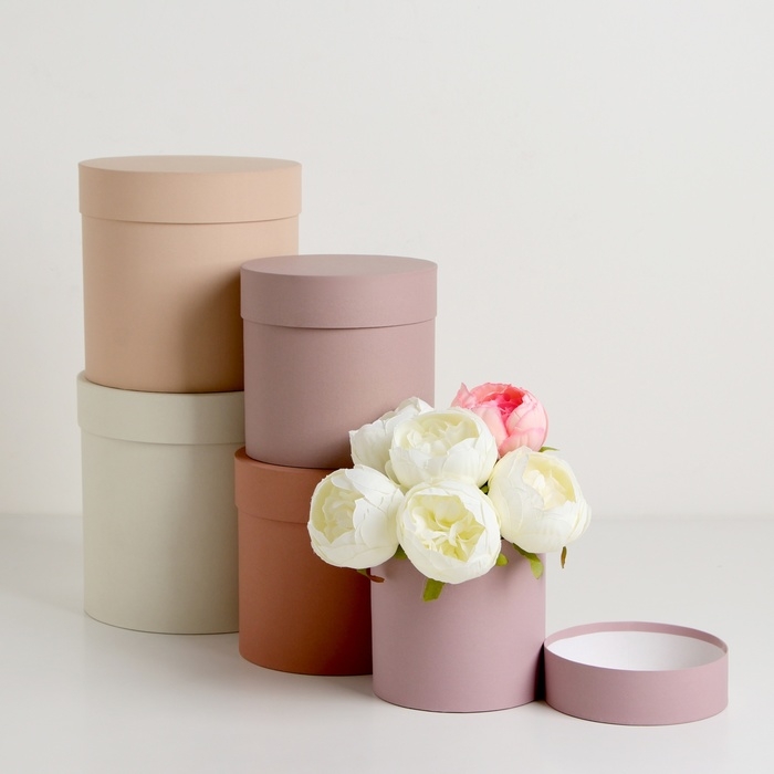 Набор круглых коробок 5 в 1 Набор круглых коробок 5 в 1 "Нюд", 20 х 20 х 20 - 14 х 14 х 14 см