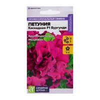 Семена цветов Петуния "Бургунди Каскадная" махровая F1, О, цп, 10 шт. Семена цветов Петуния "Бургунди Каскадная" махровая F1, О, цп, 10 шт.