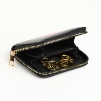 Кошелёк на молнии, цвет чёрный Кошелёк на молнии, цвет чёрный