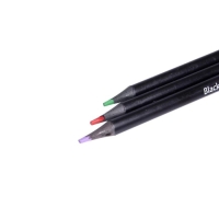 Карандаши 24 цвета BlackWoodColor, пластиковые, трёхгранные, МИКС Карандаши 24 цвета BlackWoodColor, пластиковые, трёхгранные, МИКС