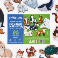 Обучающие магниты &laquo;Мама и малыш&raquo;