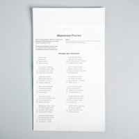 Игра на липучках &laquo;Животные России&raquo; МИНИ