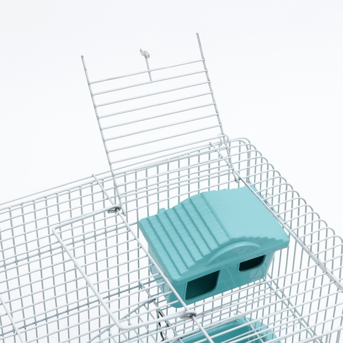 Клетка для грызунов Клетка для грызунов "Пижон" №3, с 2-я этажами, укомплектованная, 33 х 24 х 28 см, бирюзовая