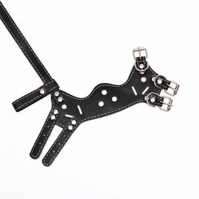 Намордник из прессованной кожи регулируемый, №1, ДН 4,5 см, ОМ 13-20 см, чёрный Намордник из прессованной кожи регулируемый, №1, ДН 4,5 см, ОМ 13-20 см, чёрный