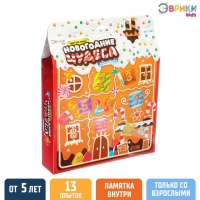 Набор для опытов на 13 дней &laquo;Новогодние чудеса&raquo;, 13 опытов