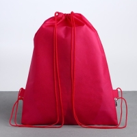 Мешок для обуви &laquo;Аниме девушка&raquo; полиэстер, размер 30 х 40 см