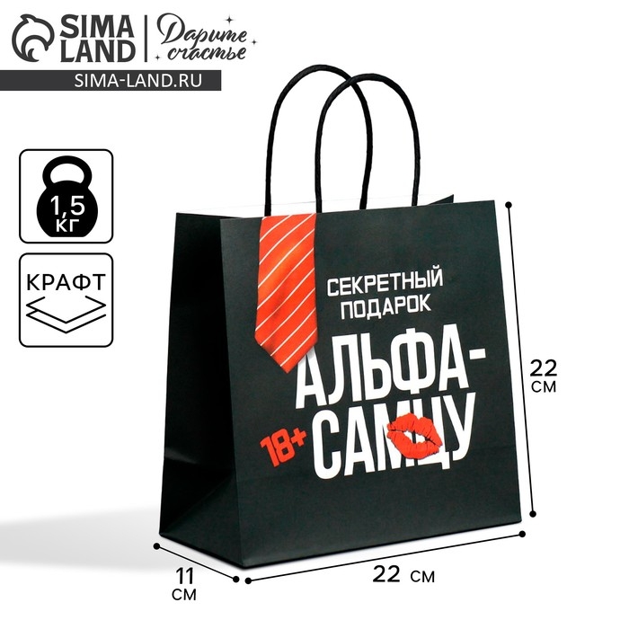 Пакет подарочный крафтовый, упаковка, &laquo;Альфа&raquo;, 22 х 22 х 11 см