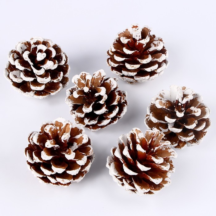 Новый год! Декоративное украшение &laquo;Набор шишек&raquo; 6 шт., 17 &times; 11 &times; 6 см