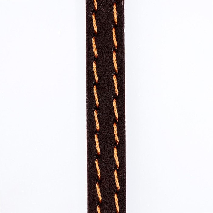 Поводок кожаный однослойный, простроченный, 1.37 м х 1 см, коричневый