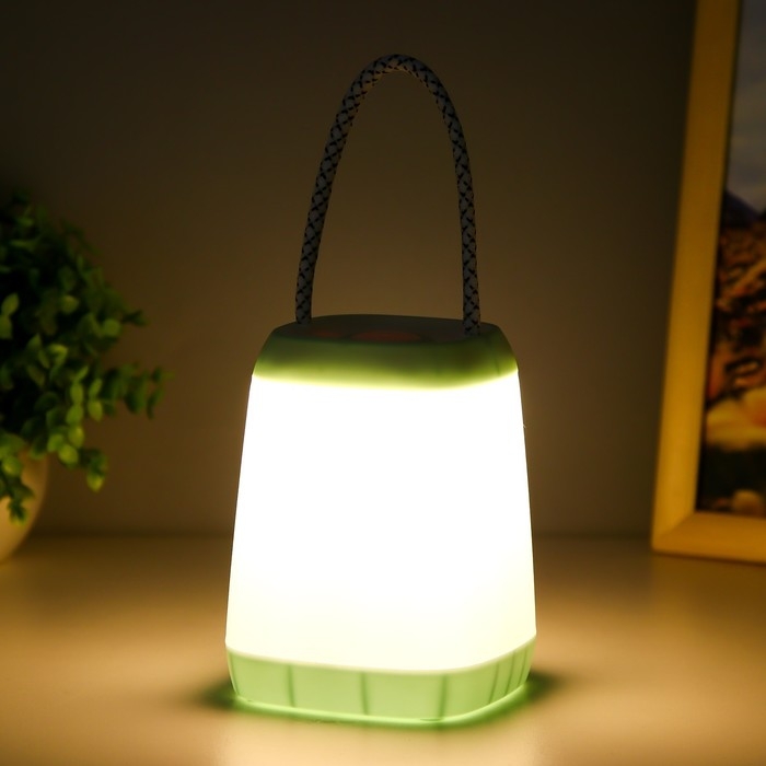 Ночник Ночник "Навигатор" LED, 3Вт, 3 режима, 3ААА голубой 9х7х2,5 см RISALUX