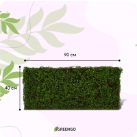 Декоративная панель, 90 × 40 см, «Ряска», Greengo Декоративная панель, 90 × 40 см, «Ряска», Greengo