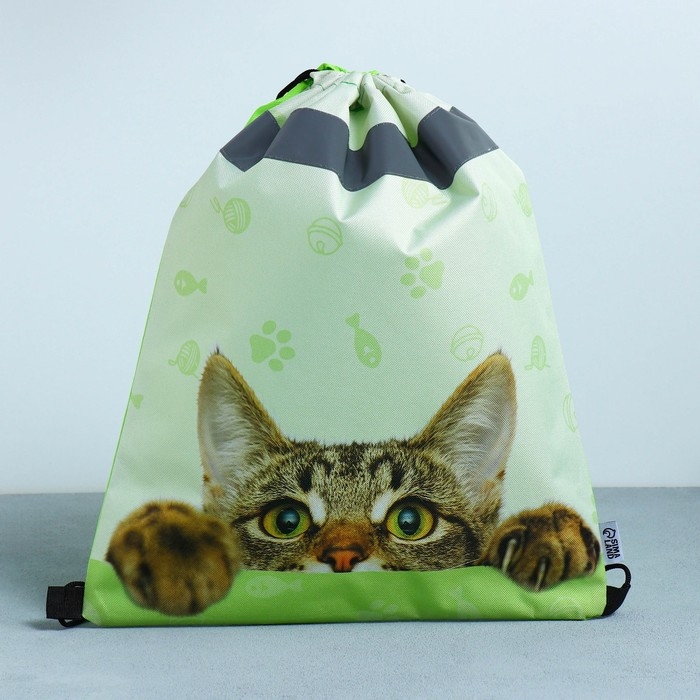 Мешок для обуви со светоотражающим элементом &laquo;Забавный котёнок&raquo; 30 х 40 см