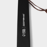 Ложка для обуви Доляна, с петелькой, деревянная, 38×3,5 см, цвет чёрный Ложка для обуви Доляна, с петелькой, деревянная, 38×3,5 см, цвет чёрный