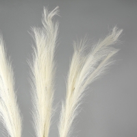Пампасная искусственная трава высота 1 метр, набор 3 шт., цвет молочный Пампасная искусственная трава высота 1 метр, набор 3 шт., цвет молочный