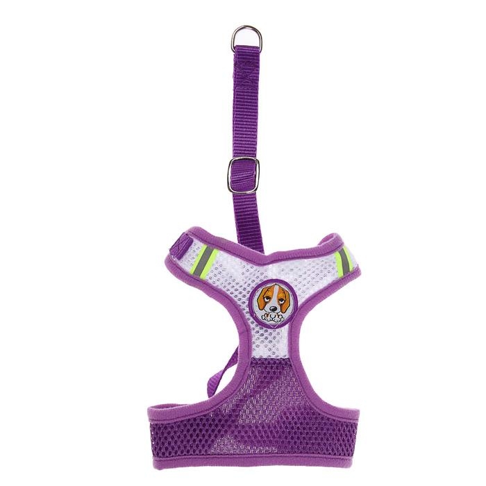 Шлейка регулируемая дышащая, светоотражающая, размер L, (ОГ 44-64 см, ОШ 40-60 см), фиолетов Шлейка регулируемая дышащая, светоотражающая, размер L, (ОГ 44-64 см, ОШ 40-60 см), фиолетов