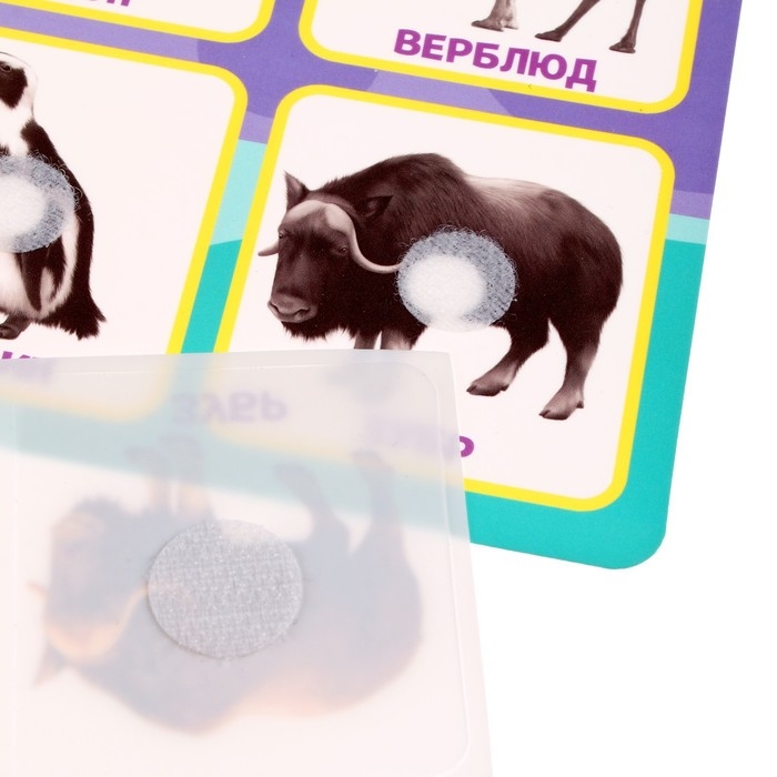 Развивающая игра на липучках &laquo;&lrm;Животные зоопарка&raquo;,&lrm; по методике Г. Домана