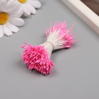 Тычинки для искусственных цветов глянец "Рисинки" ярко-розовый набор 360 шт длина 6 см Тычинки для искусственных цветов глянец "Рисинки" ярко-розовый набор 360 шт длина 6 см