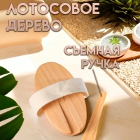 Щётка массажная для тела из натуральной щетины, с ручкой, гладкая Щётка массажная для тела из натуральной щетины, с ручкой, гладкая