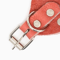 Намордник регулируемый из мягкой кожи, размер № 2, ДН 5-6 см, ОМ 15-19 см, коричневый Намордник регулируемый из мягкой кожи, размер № 2, ДН 5-6 см, ОМ 15-19 см, коричневый