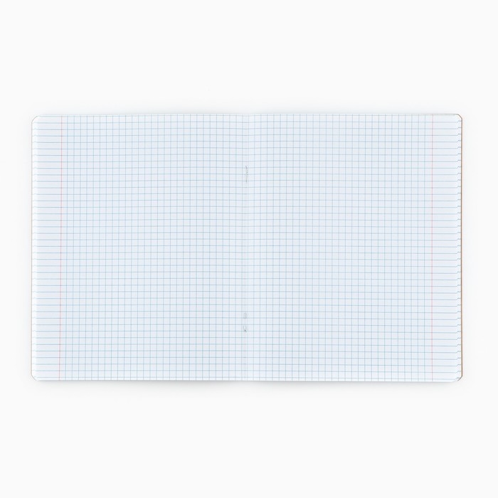 Тетрадь в клетку, 48 листов А5 на скрепке внутренний блок №1 МИКС &laquo;1 сентября: Прямо в сердце&raquo; твин лак, уф лак