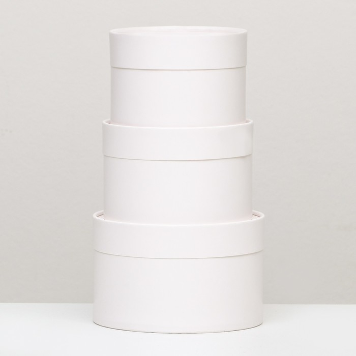 Набор шляпных коробок 3 в 1, белый, 16 х 10 см, 14 х 9 см, 13 х 8,5 см