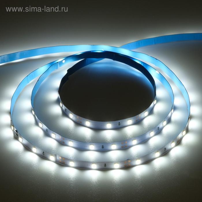 Светодиодная лента Ecola PRO 5 м, IP20, SMD3528, 60 LED/м, 4.8 Вт/м, 12 В, 6000К Светодиодная лента Ecola PRO 5 м, IP20, SMD3528, 60 LED/м, 4.8 Вт/м, 12 В, 6000К