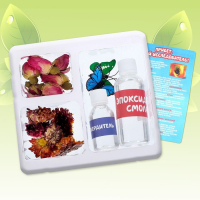 Набор для опытов &laquo;Мир природы&raquo;, 2 фигурки, с эпоксидной смолой