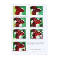 Валяние из шерсти. Картина «Кролик», А5, набор для творчества Валяние из шерсти. Картина «Кролик», А5, набор для творчества