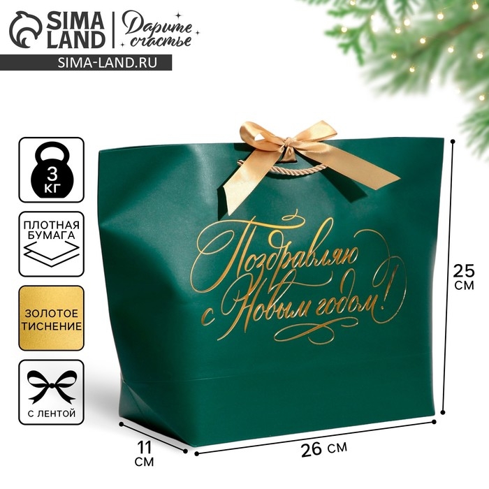 Пакет подарочный новогодний &laquo;My congratters&raquo;, 26 х 25 х 11 см, Новый год