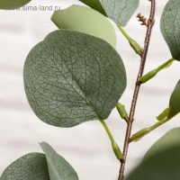 Дерево искусственное "Эвкалипт" 85 см