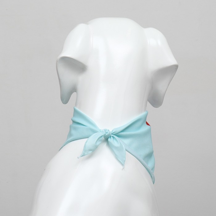 Платок для животных Платок для животных "С днём рождения", 15 х 12 х 1 см, голубой