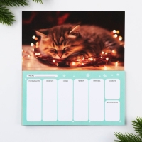 Новый год. Планинг мини 50л &laquo;С новым счастьем&raquo;