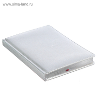 Ежедневник недатированный А5+, 136 листов Sidney Nebraska, обложка искусственная кожа, серебряный срез, ляссе, серебряный