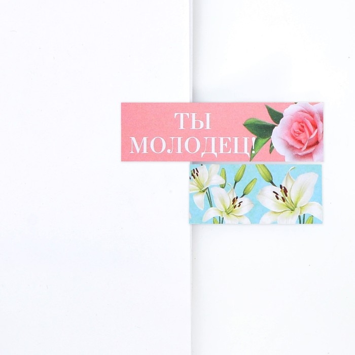 Набор стикеров закладок &laquo;Мечтай!&raquo;, 9 шт, 30 л