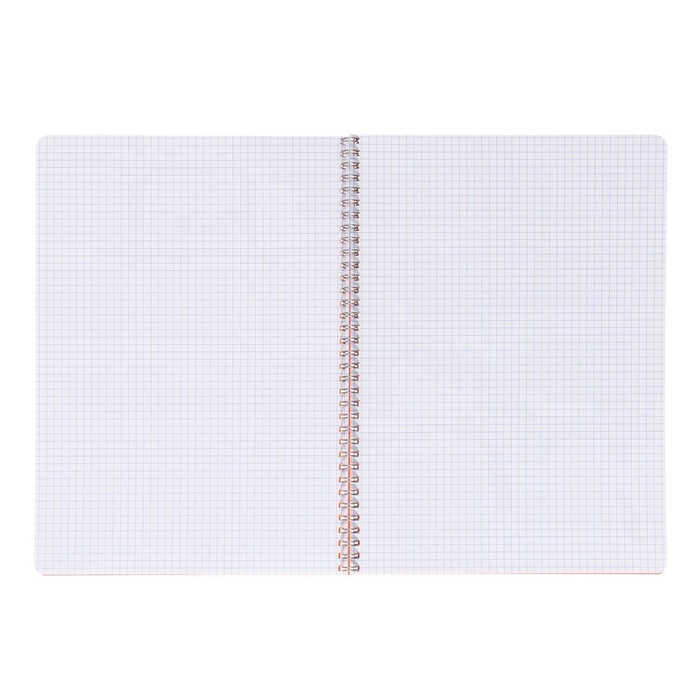 Тетрадь на гребне A4 48 листов в клетку Calligrata Оранжевая, пластиковая обложка, блок офсет Тетрадь на гребне A4 48 листов в клетку Calligrata Оранжевая, пластиковая обложка, блок офсет