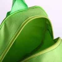 Рюкзак детский для мальчика &laquo;Стильный дино&raquo;, 30х25 см