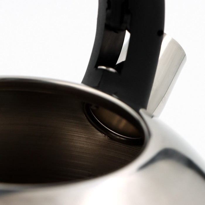 Чайник со свистком из нержавеющей стали Доляна &laquo;Рио&raquo;, 2,8 л, фиксированная ручка, цвет хромированный