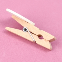 Прищепки декоративные с верёвкой для подвеса &laquo;Сердечки&raquo; набор 10 шт., 2,5 &times; 12,5 &times; 13,5 см