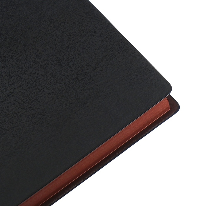 Органайзер на кольцах, B6, 116л, клетка, обл.кожзам, коричневый срез, Черный Органайзер на кольцах, B6, 116л, клетка, обл.кожзам, коричневый срез, Черный