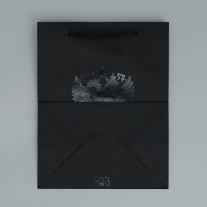 Пакет подарочный, упаковка, &laquo;Герб&raquo;, MS 18 х 23 х 12 см