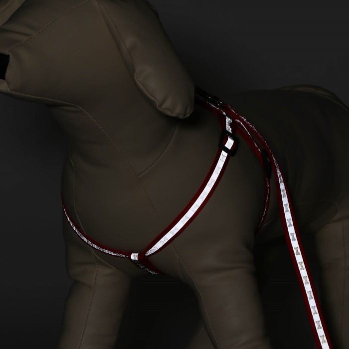 Комплект светоотражающий Комплект светоотражающий "Косточки", поводок 1 х 120 см (ОШ 26-42 см ,ОГ 26-42 см) красный