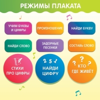 Обучающий плакат &laquo;ZOO-Азбука&raquo;, в пакете