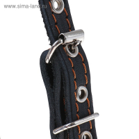 Шлейка кожаная "Прогулочная", 1,5 см, ОШ35-50 см, ОГ 60-68 см, чёрный Шлейка кожаная "Прогулочная", 1,5 см, ОШ35-50 см, ОГ 60-68 см, чёрный