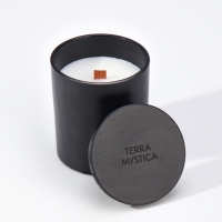 Ароматическая свеча "Breesal, TERRA MYSTICA", Апельсин, Груша, Ягоды Ароматическая свеча "Breesal, TERRA MYSTICA", Апельсин, Груша, Ягоды