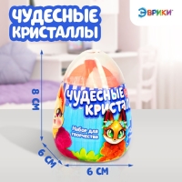 Набор для опытов «Чудесные кристаллы», зверята Набор для опытов «Чудесные кристаллы», зверята