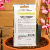 Семена цветов Петуния Суперкаскадная Красная шапочка F1, О, 10шт Семена цветов Петуния Суперкаскадная Красная шапочка F1, О, 10шт